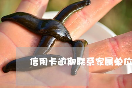 信用卡逾期联系家属单位 信用卡逾期联系家属单位