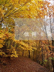 信用卡逾期联系当地政府