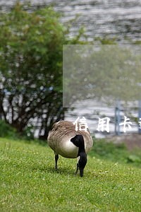 信用卡逾期联系朋友神回复 信用卡逾期联系朋友神回复