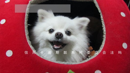 信用卡逾期联系村委会合法吗 信用卡逾期联系村委会合法吗