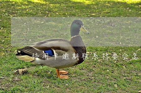 信用卡逾期联系村委会怎么办