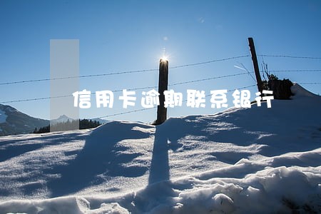 信用卡逾期联系银行 信用卡逾期联系银行