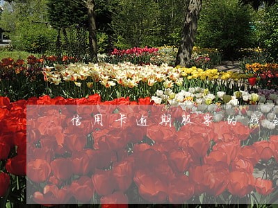 信用卡逾期股票的钱会冻结吗 信用卡逾期股票的钱会冻结吗