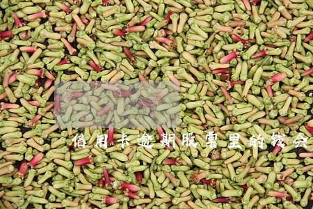 信用卡逾期股票里的钱会有影响吗 信用卡逾期股票里的钱会有影响吗