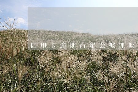 信用卡逾期肯定会被抓吗 信用卡逾期肯定会被抓吗