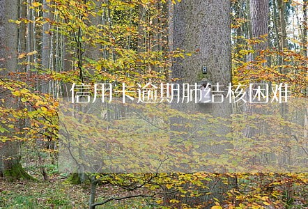 信用卡逾期肺结核困难 信用卡逾期肺结核困难