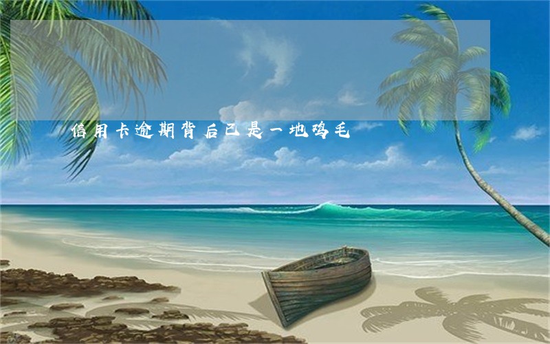信用卡逾期背后已是一地鸡毛 信用卡逾期背后已是一地鸡毛