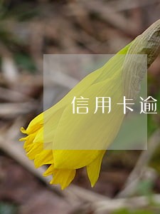 信用卡逾期背后的金额 信用卡逾期背后的金额