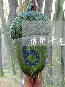 信用卡逾期背调没通过 信用卡逾期背调没通过
