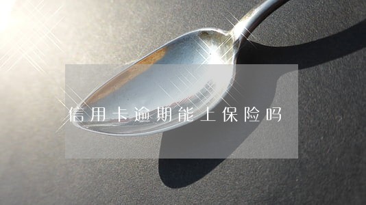 信用卡逾期能上保险吗 信用卡逾期能上保险吗