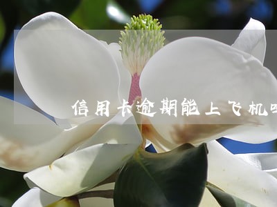 信用卡逾期能上飞机吗 信用卡逾期能上飞机吗