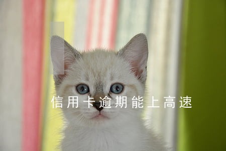 信用卡逾期能上高速 信用卡逾期能上高速