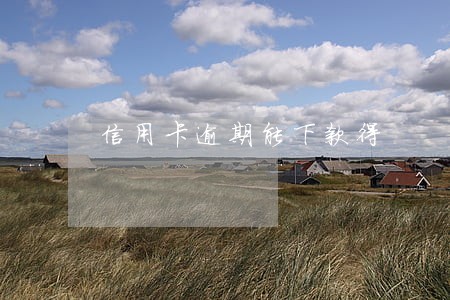 信用卡逾期能下款得 信用卡逾期能下款得