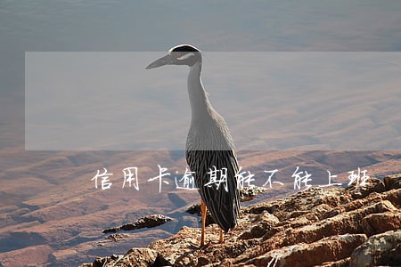 信用卡逾期能不能上班 信用卡逾期能不能上班