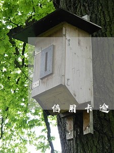 信用卡逾期能不能买五险一金 信用卡逾期能不能买五险一金