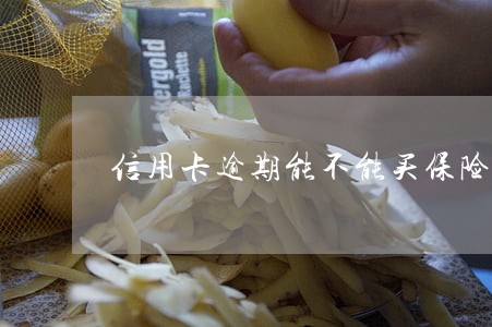 信用卡逾期能不能买保险 信用卡逾期能不能买保险