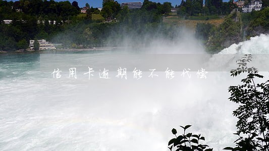 信用卡逾期能不能代偿 信用卡逾期能不能代偿