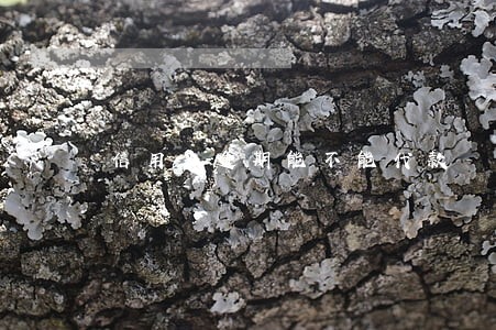 信用卡逾期能不能代款 信用卡逾期能不能代款