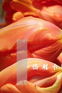 信用卡逾期能不能住宾馆