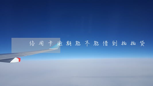 信用卡逾期能不能借到拍拍贷 信用卡逾期能不能借到拍拍贷