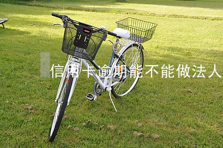 信用卡逾期能不能做法人代表 信用卡逾期能不能做法人代表