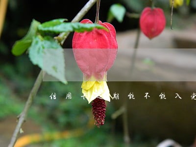 信用卡逾期能不能入党 信用卡逾期能不能入党