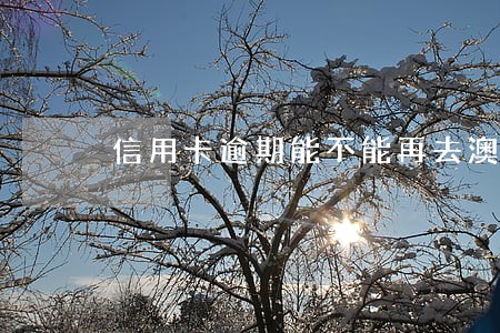 信用卡逾期能不能再去澳门 信用卡逾期能不能再去澳门