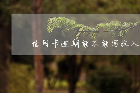 信用卡逾期能不能写收入证明
