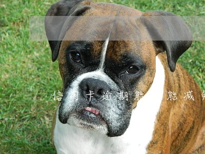 信用卡逾期能不能减免利息