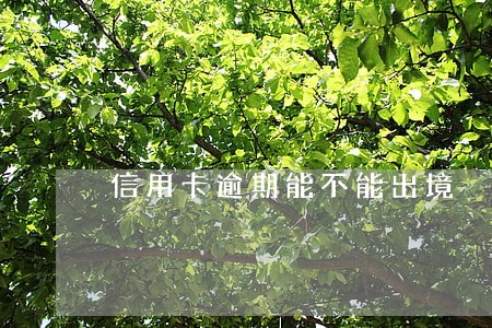 信用卡逾期能不能出境 信用卡逾期能不能出境