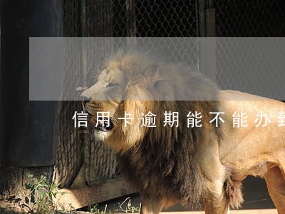 信用卡逾期能不能办到护照 信用卡逾期能不能办到护照