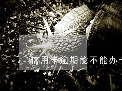 信用卡逾期能不能办卡 信用卡逾期能不能办卡