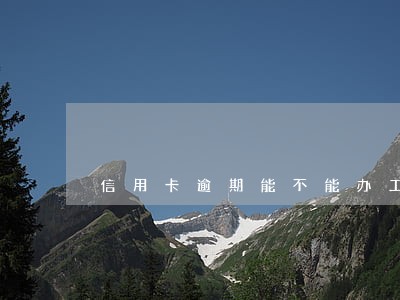 信用卡逾期能不能办工商银行