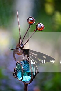 信用卡逾期能不能办理出国