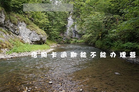 信用卡逾期能不能办理营业执照