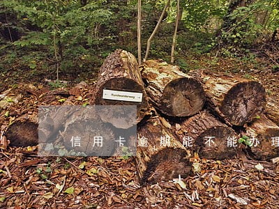 信用卡逾期能不能办理身份证 信用卡逾期能不能办理身份证