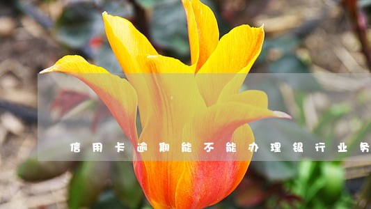 信用卡逾期能不能办理银行业务 信用卡逾期能不能办理银行业务