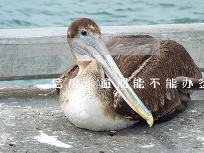 信用卡逾期能不能办签证
