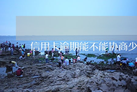 信用卡逾期能不能协商少还点