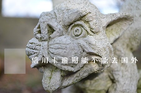 信用卡逾期能不能去国外旅游 信用卡逾期能不能去国外旅游