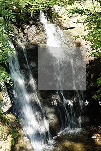 信用卡逾期能不能商量