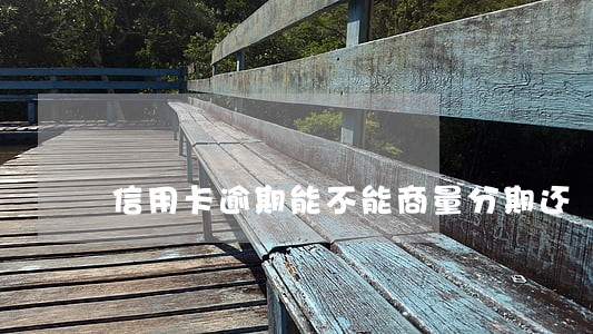信用卡逾期能不能商量分期还 信用卡逾期能不能商量分期还