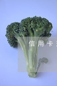 信用卡逾期能不能坐船 信用卡逾期能不能坐船