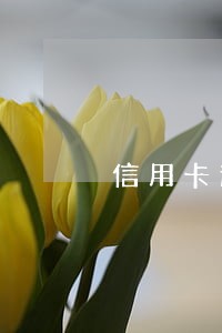信用卡逾期能不能带还