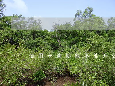 信用卡逾期能不能开公司 信用卡逾期能不能开公司