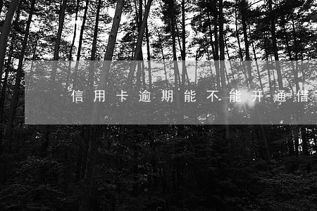 信用卡逾期能不能开通借呗 信用卡逾期能不能开通借呗
