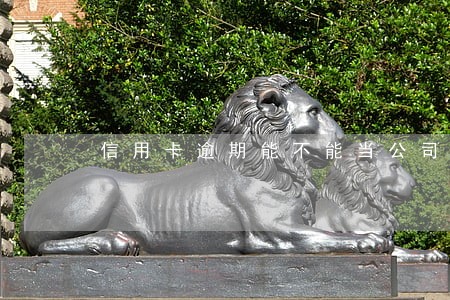 信用卡逾期能不能当公司法人 信用卡逾期能不能当公司法人