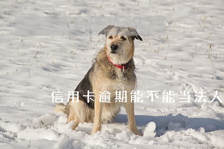 信用卡逾期能不能当法人 信用卡逾期能不能当法人