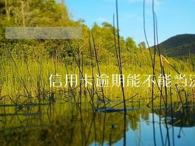 信用卡逾期能不能当法人代表