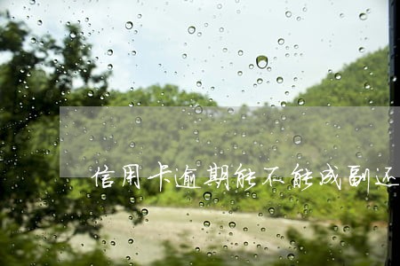 信用卡逾期能不能成副还款人 信用卡逾期能不能成副还款人